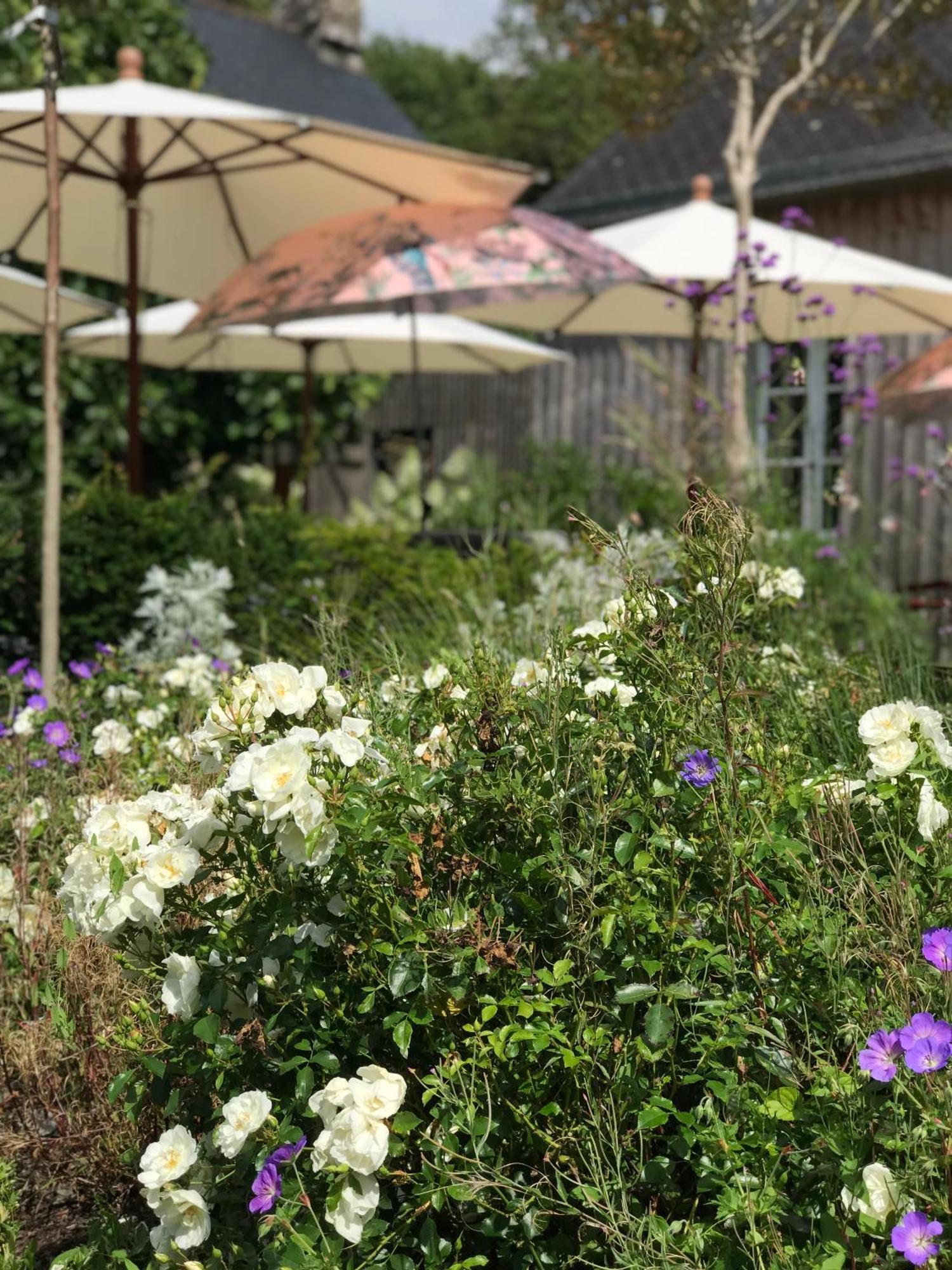 Manoir Saint-Andre,B&B De Charme Theix Zewnętrze zdjęcie